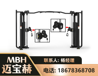 常德大飞鸟训练器